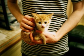 开云体育app官网-中国男篮回顾比赛录像 查找攻防不足点，中国男篮篮球录像