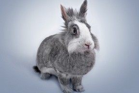 开云体育在线入口-体育新闻中心上线体育赛事虚拟现实互动体验系统，体育新闻官网