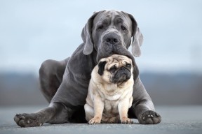 开云体育下载-中超引入智能语音助手辅助教练赛中快速沟通，中超最新主教练名单