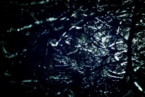 开云app-塞内加尔男篮在非洲锦标赛中奋勇争冠，期待突破历史，塞内加尔男篮nba球员