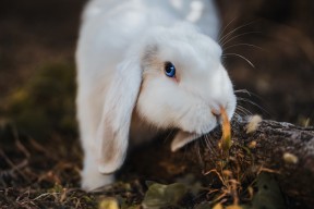 开云在线入口-世界杯精彩瞬间：每一秒都令人热血沸腾！，世界杯经典视频