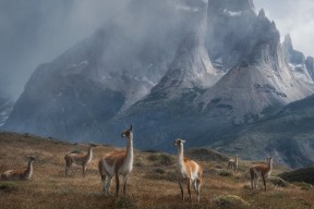 开云体育在线入口-花样滑冰训练加入呼吸节奏调控课程，花样滑冰训练方法