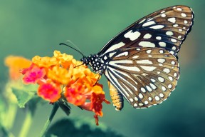 开云官方网-山西龙狮积极引导新人快速融入比赛体系，龙狮比赛视频