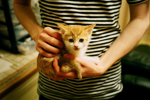 中国男篮回顾比赛录像 查找攻防不足点,中国男篮篮球录像