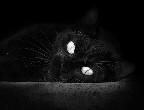 中国足球是否需要引进更多国外经验,中国足球引进外援利弊辩论赛