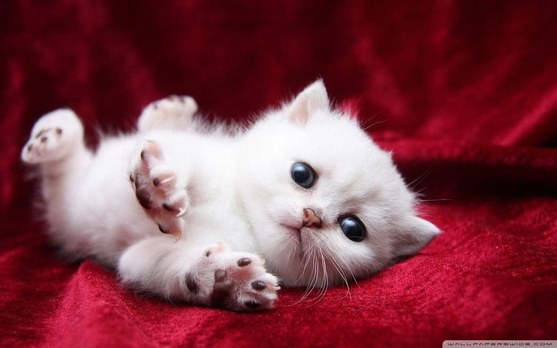 中锋回抢抢断后直塞形成助攻,中锋回防