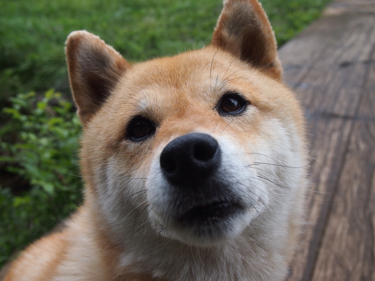 成都世运会誓师大会举行，百日冲刺全面启动，世运会 成都 主会场