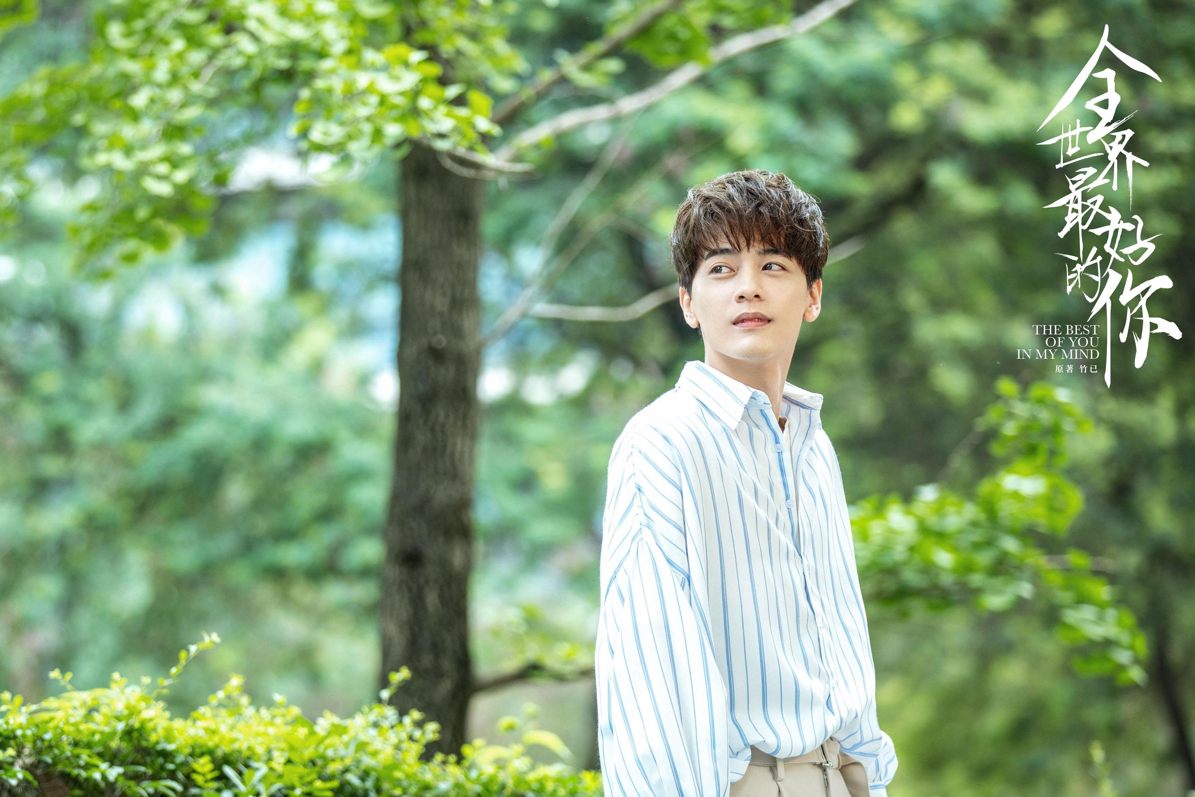 新加坡队赛制解析：通过团队合作与战术创新取得赛场胜利，新加坡国际比赛