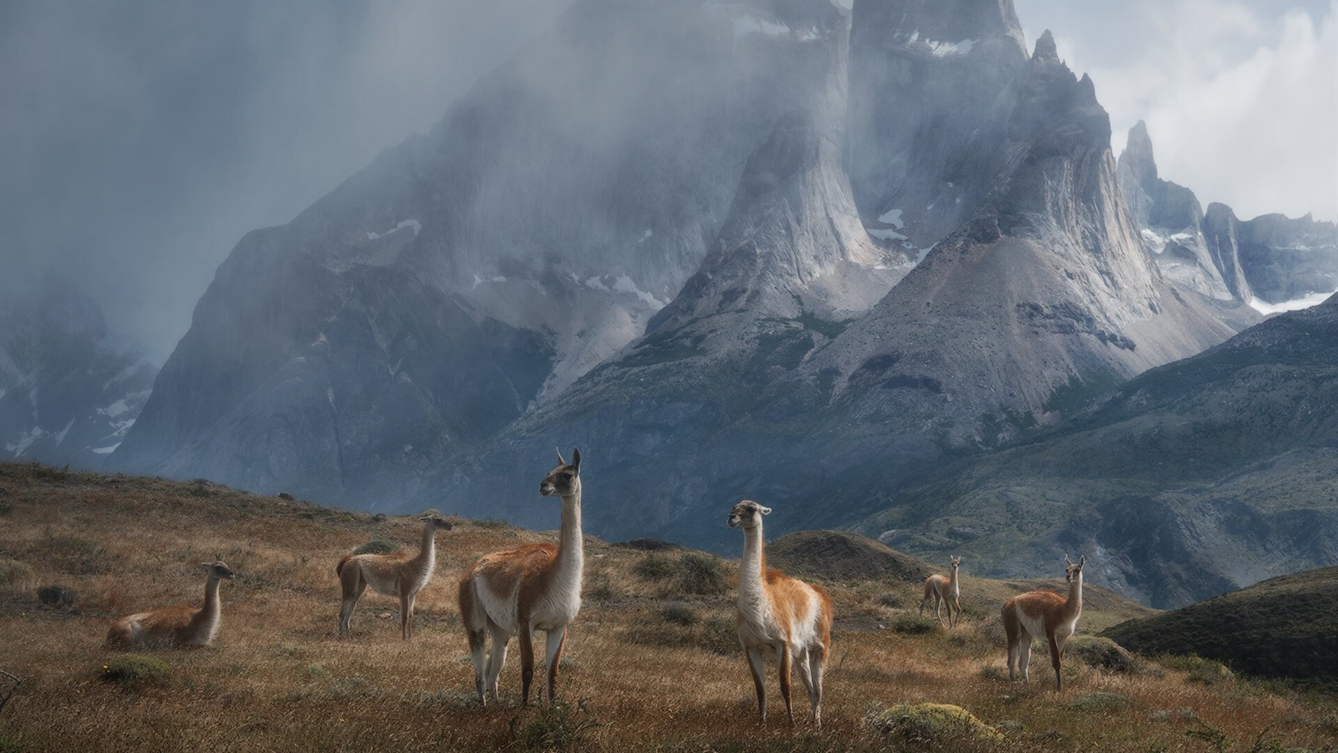 花样滑冰训练加入呼吸节奏调控课程,花样滑冰训练方法