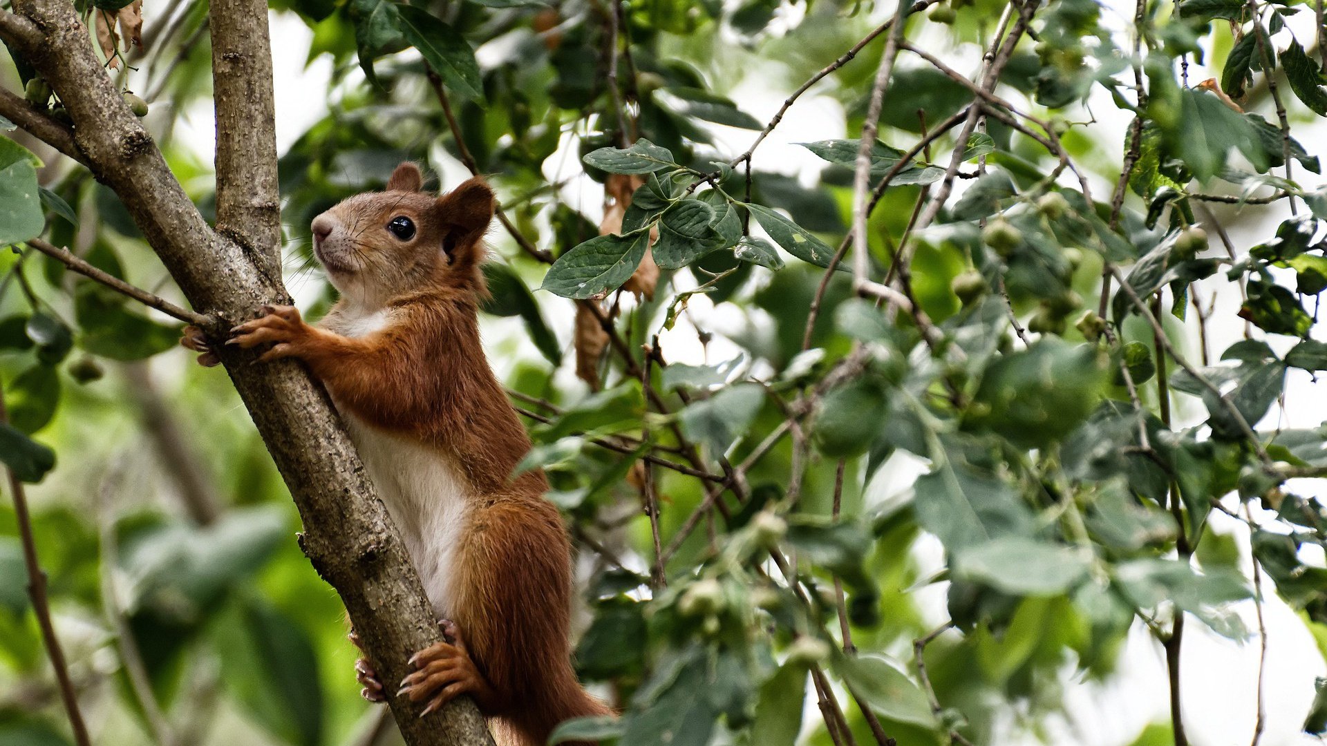 花样滑冰训练加入呼吸节奏调控课程,花样滑冰训练方法