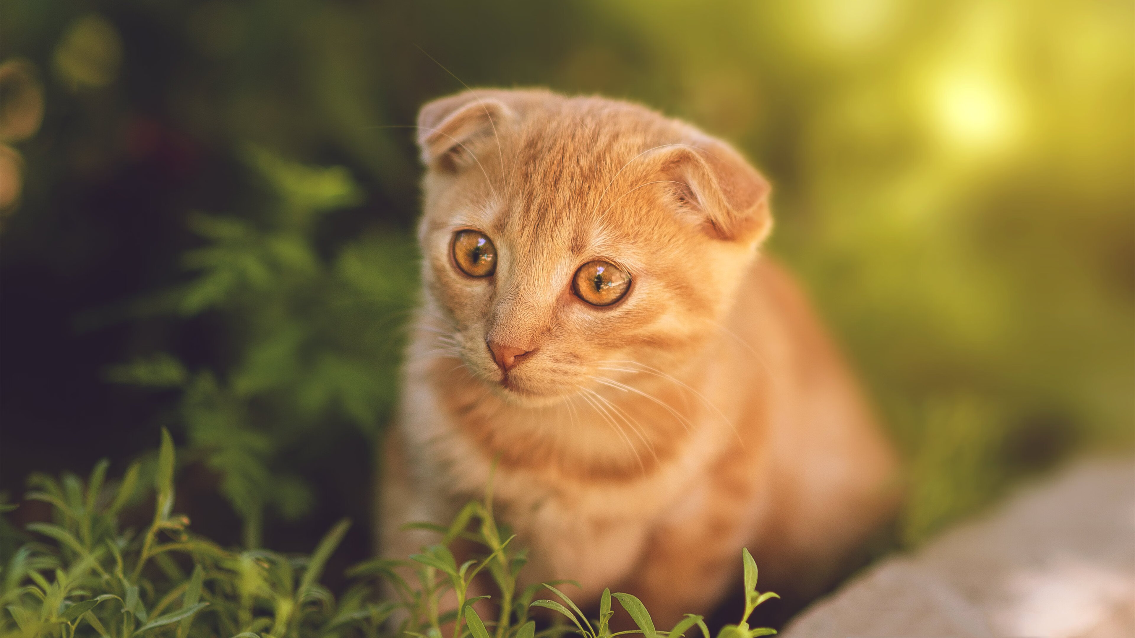 世界杯最燃对决:一触即发的精彩!,世界杯经典瞬间