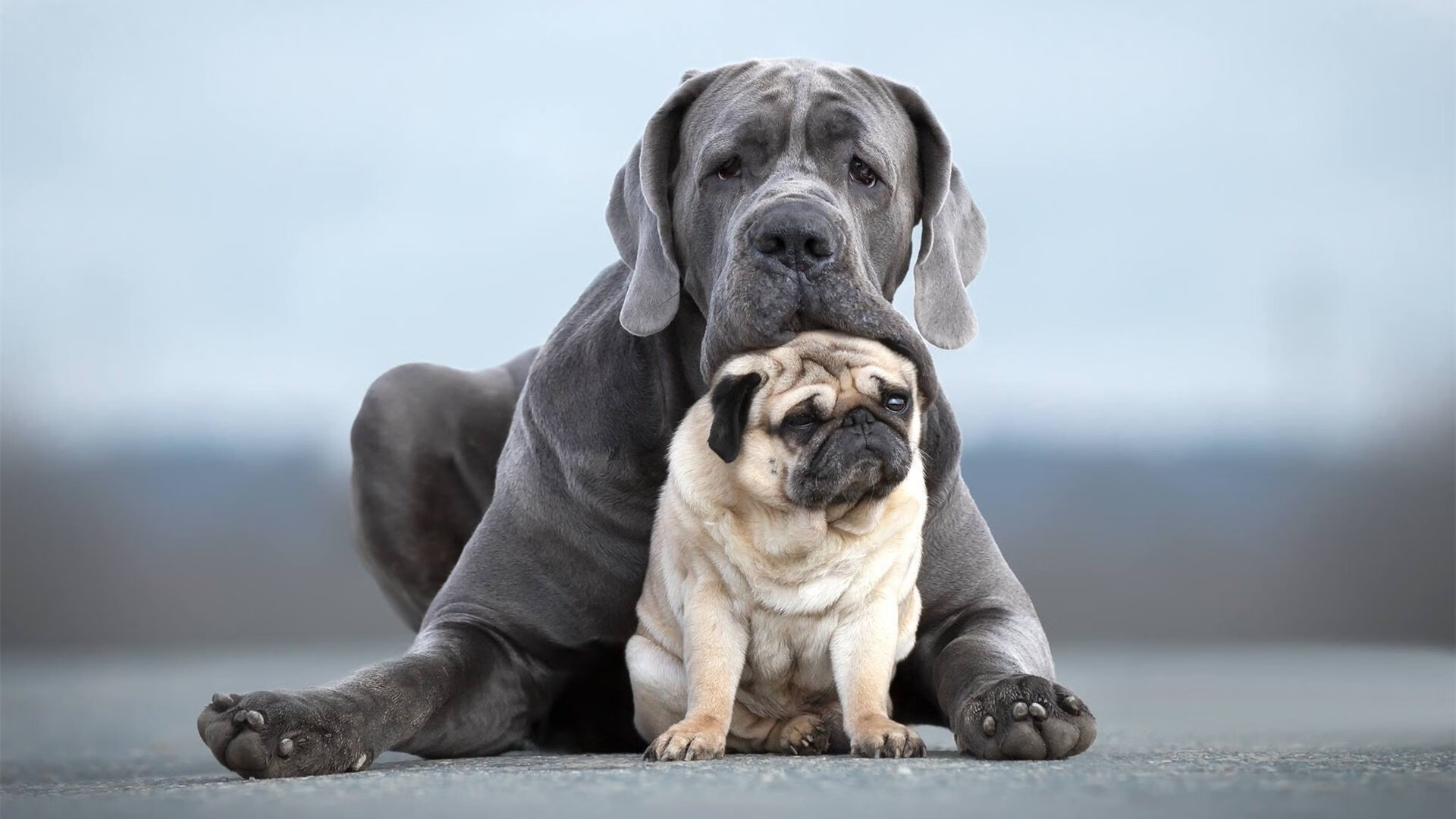 中超引入智能语音助手辅助教练赛中快速沟通,中超最新主教练名单