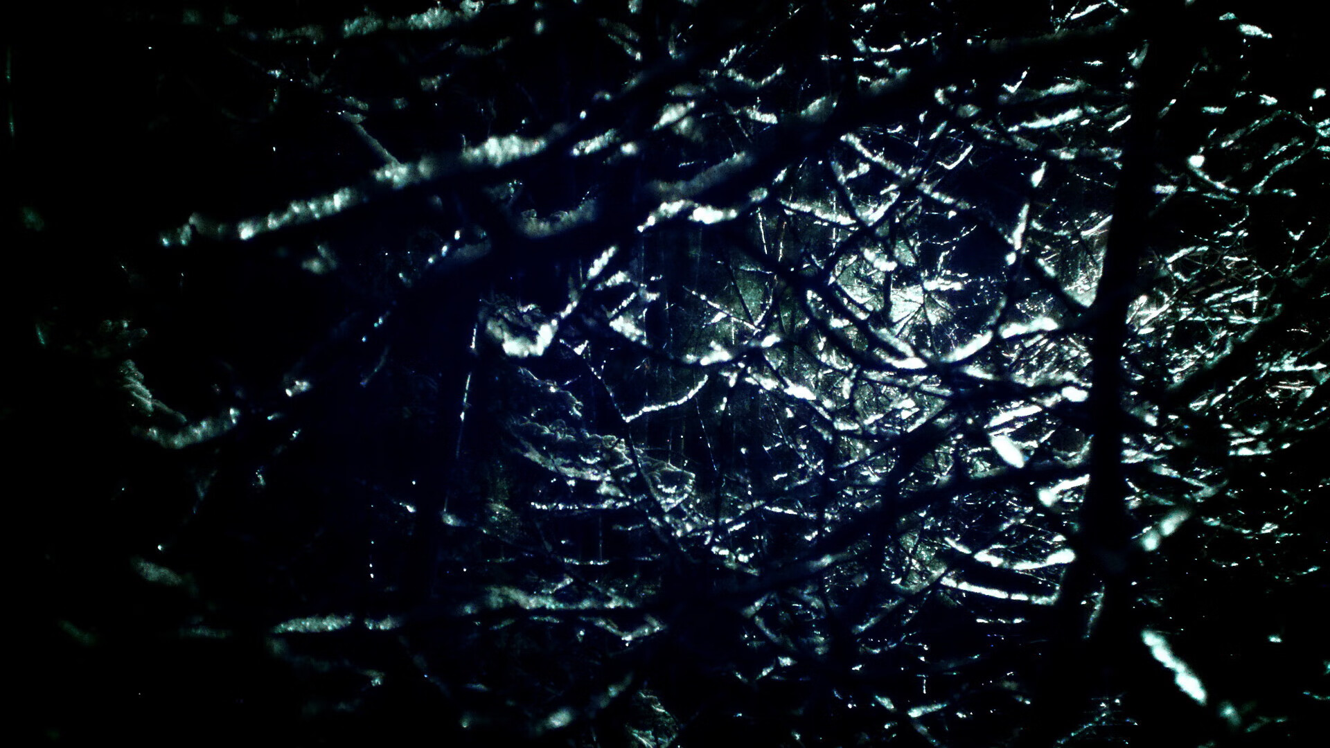 塞内加尔男篮在非洲锦标赛中奋勇争冠,期待突破历史,塞内加尔男篮nba球员