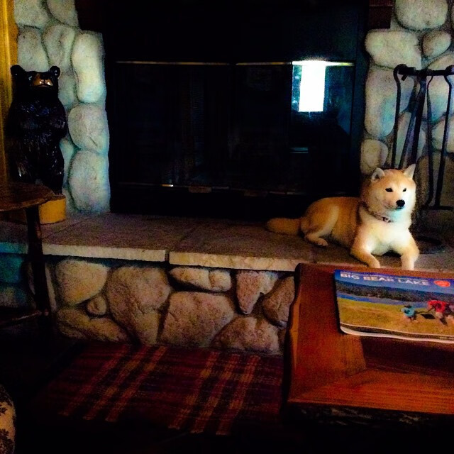 拉脱维亚男篮在欧洲锦标赛中夺冠,重振世界级实力