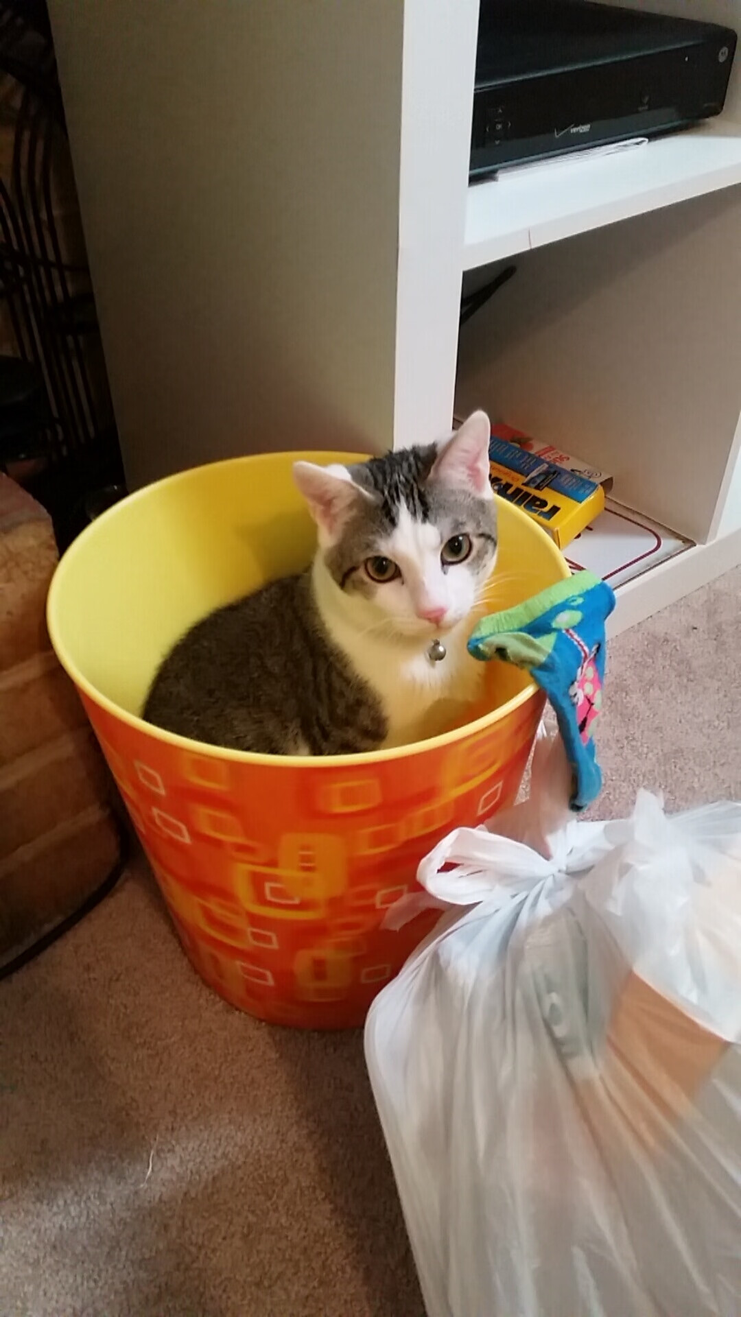 线上足球运动社交平台用户规模突破千万,推动全民运动,线上足球比赛什么app能买