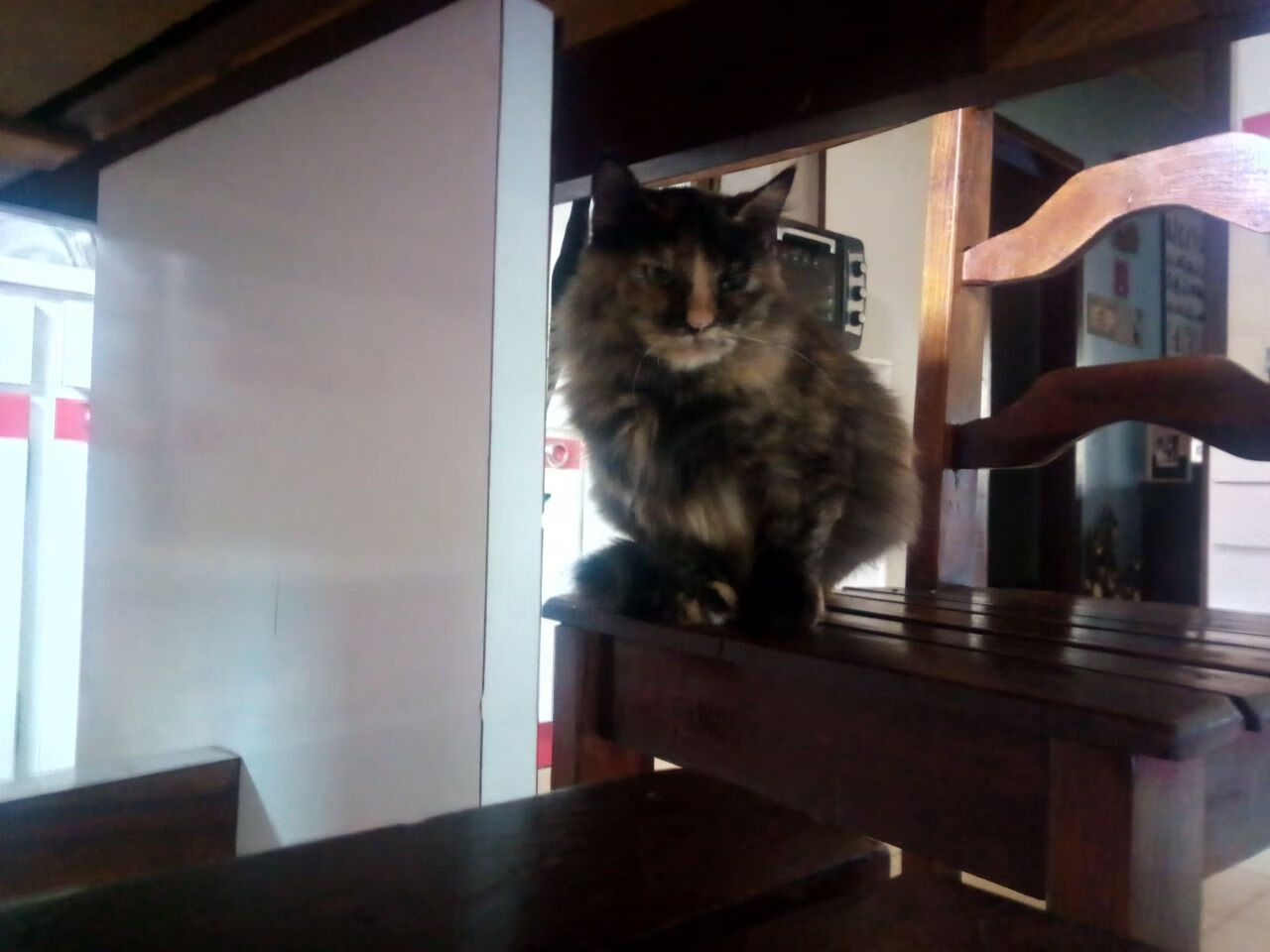 世界第9向鹏爆冷出局,国乒男单再现不稳定表现,中国乒乓球男队九连冠